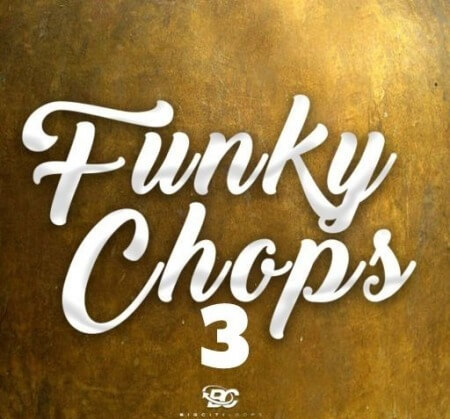 Big Citi Loops Funky Chops 3 WAV